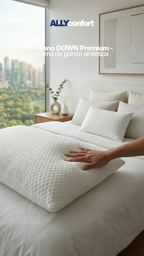 Set de 2 Almohadas Ally Confort